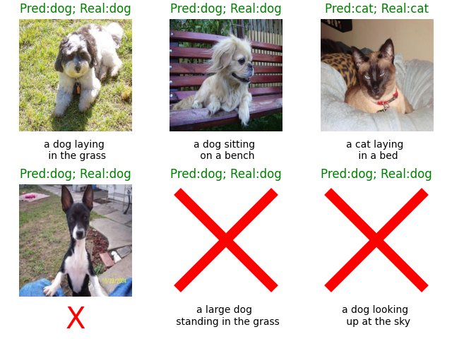 Pred:dog; Real:dog, Pred:dog; Real:dog, Pred:cat; Real:cat, Pred:dog; Real:dog, Pred:dog; Real:dog, Pred:dog; Real:dog