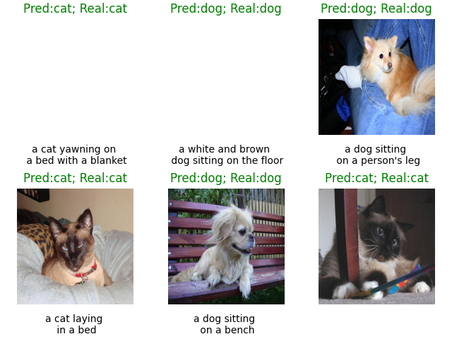 Pred:cat; Real:cat, Pred:dog; Real:dog, Pred:dog; Real:dog, Pred:cat; Real:cat, Pred:dog; Real:dog, Pred:cat; Real:cat