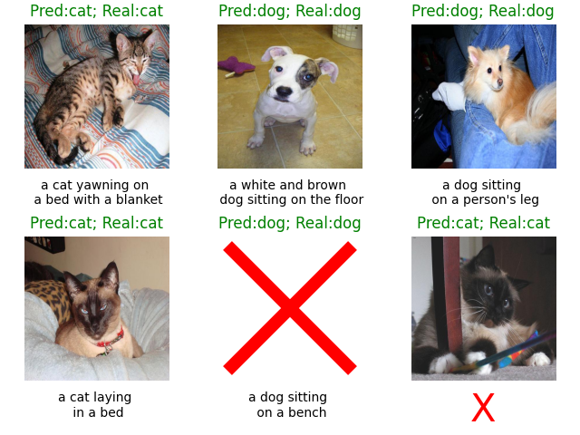 Pred:cat; Real:cat, Pred:dog; Real:dog, Pred:dog; Real:dog, Pred:cat; Real:cat, Pred:dog; Real:dog, Pred:cat; Real:cat