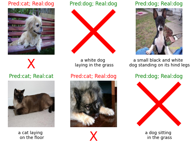 Pred:cat; Real:dog, Pred:dog; Real:dog, Pred:dog; Real:dog, Pred:cat; Real:cat, Pred:cat; Real:dog, Pred:dog; Real:dog